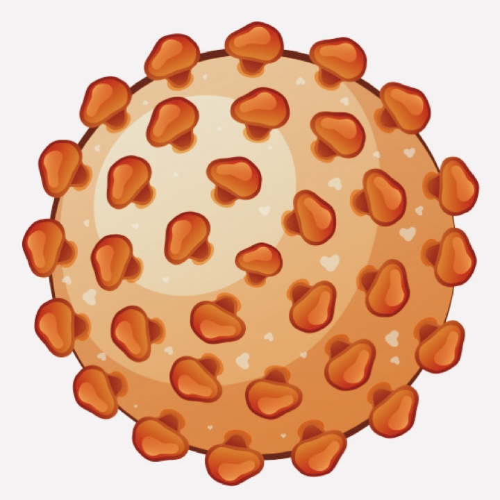 HBV