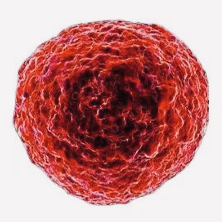 HTLV1